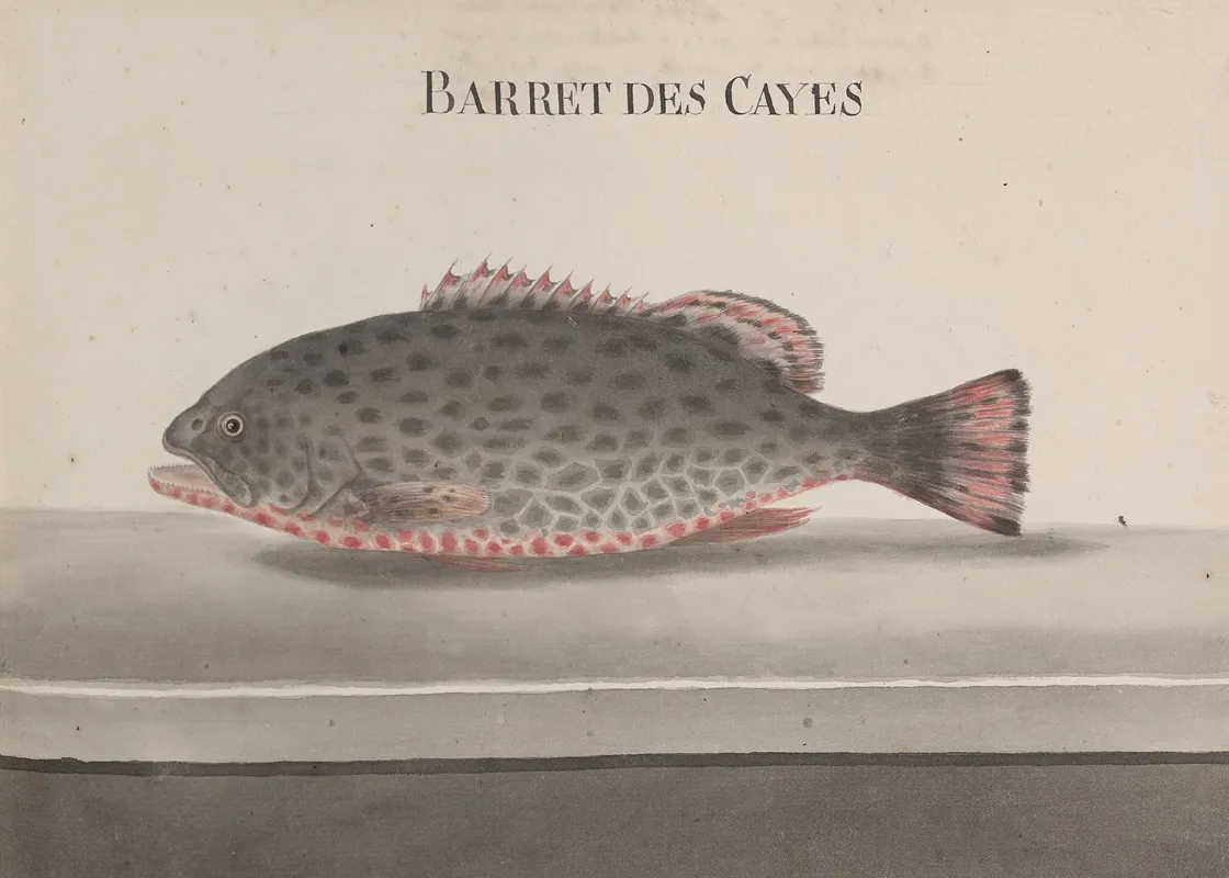 Natural History Of Saint Domingue Pl 084 Wall Art by René de Rabié - High-Resolution Digital Print
