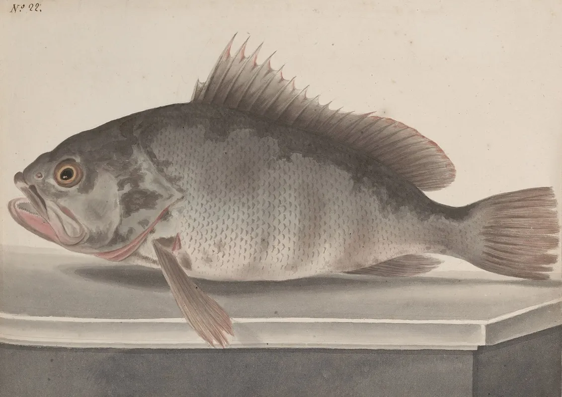 Natural History Of Saint Domingue Pl 085 Wall Art by René de Rabié - High-Resolution Digital Print