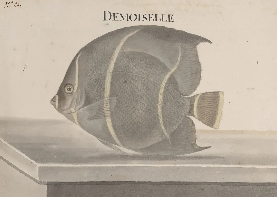 Natural History Of Saint Domingue Pl 087 Wall Art by René de Rabié - High-Resolution Digital Print