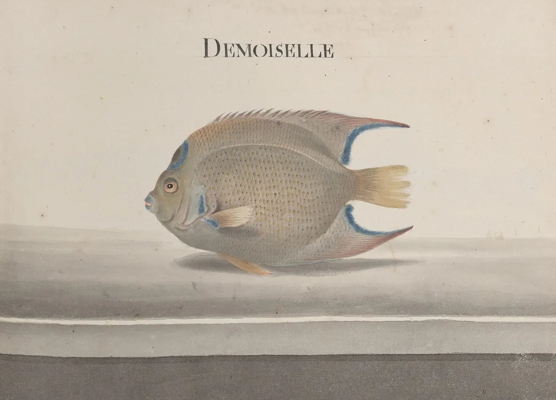Natural History Of Saint Domingue Pl 088 Wall Art by René de Rabié - High-Resolution Digital Print
