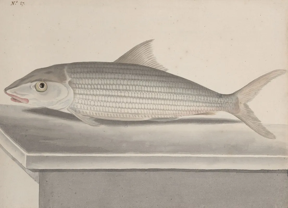 Natural History Of Saint Domingue Pl 092 Wall Art by René de Rabié - High-Resolution Digital Print
