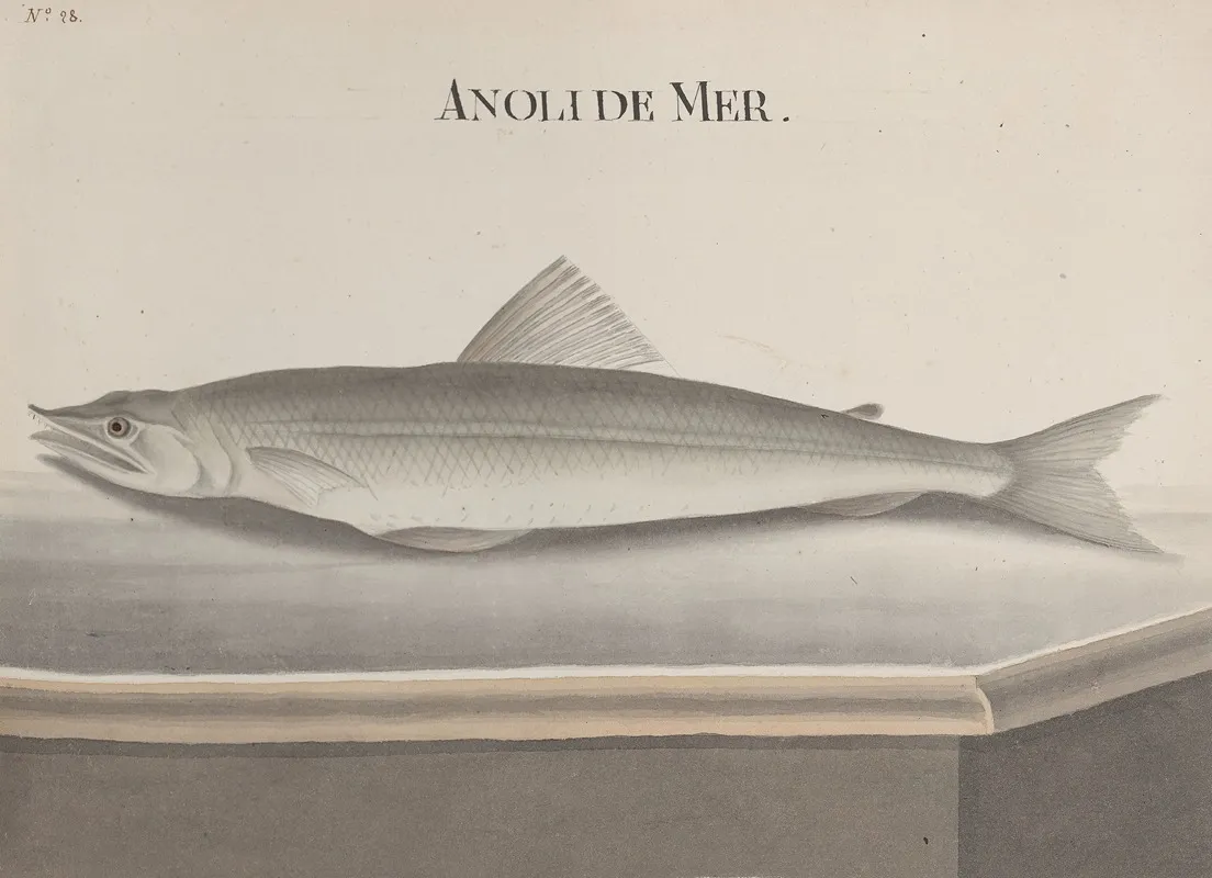 Natural History Of Saint Domingue Pl 093 Wall Art by René de Rabié - High-Resolution Digital Print