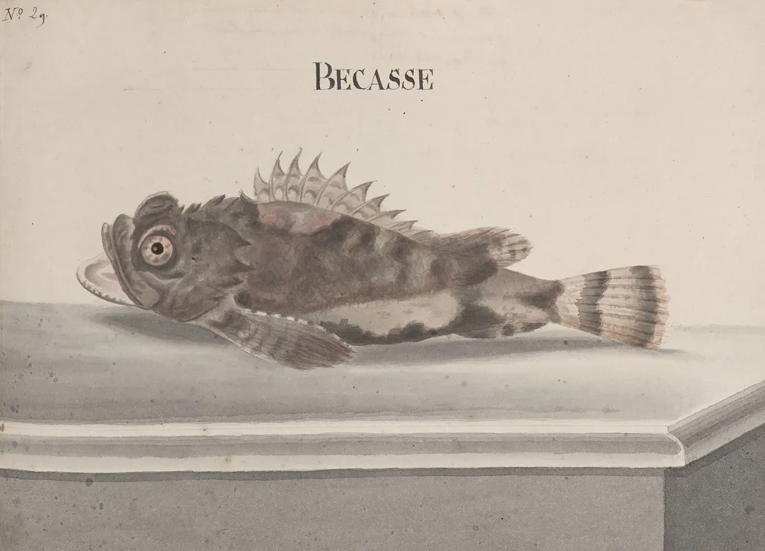 Natural History Of Saint Domingue Pl 094 Wall Art by René de Rabié - High-Resolution Digital Print
