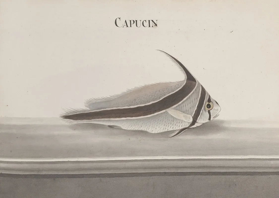 Natural History Of Saint Domingue Pl 098 Wall Art by René de Rabié - High-Resolution Digital Print