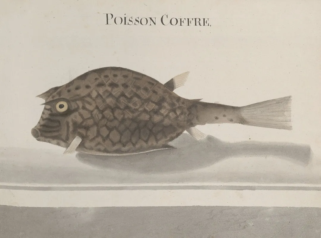 Natural History Of Saint Domingue Pl 100 Wall Art by René de Rabié - High-Resolution Digital Print