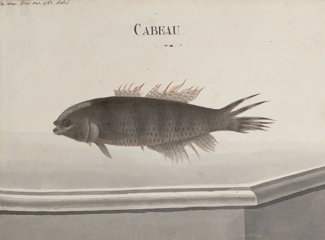 Natural History Of Saint Domingue Pl 102 Wall Art by René de Rabié - High-Resolution Digital Print