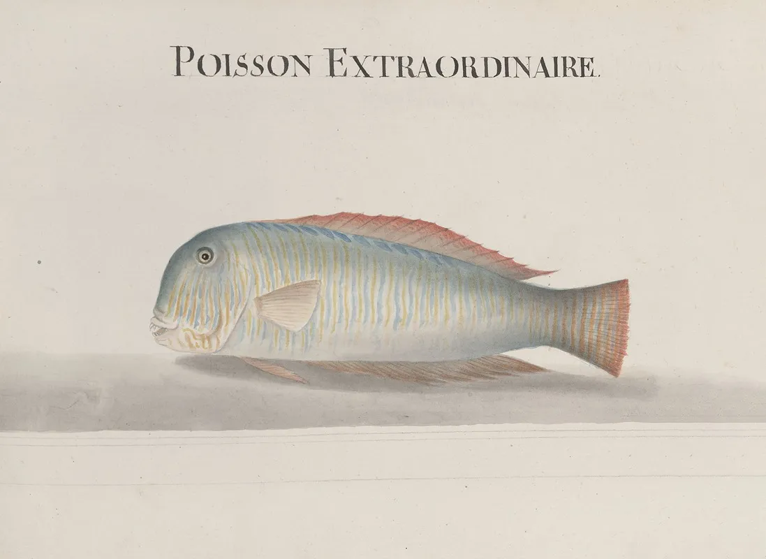 Natural History Of Saint Domingue Pl 114 Wall Art by René de Rabié - High-Resolution Digital Print