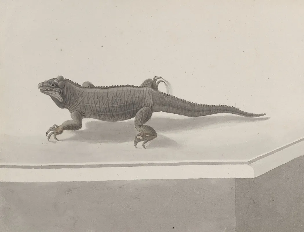 Natural History Of Saint Domingue Pl 119 Wall Art by René de Rabié - High-Resolution Digital Print