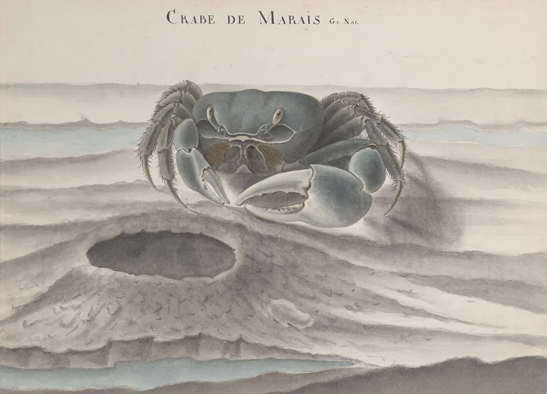 Natural History Of Saint Domingue Pl 120 Wall Art by René de Rabié - High-Resolution Digital Print