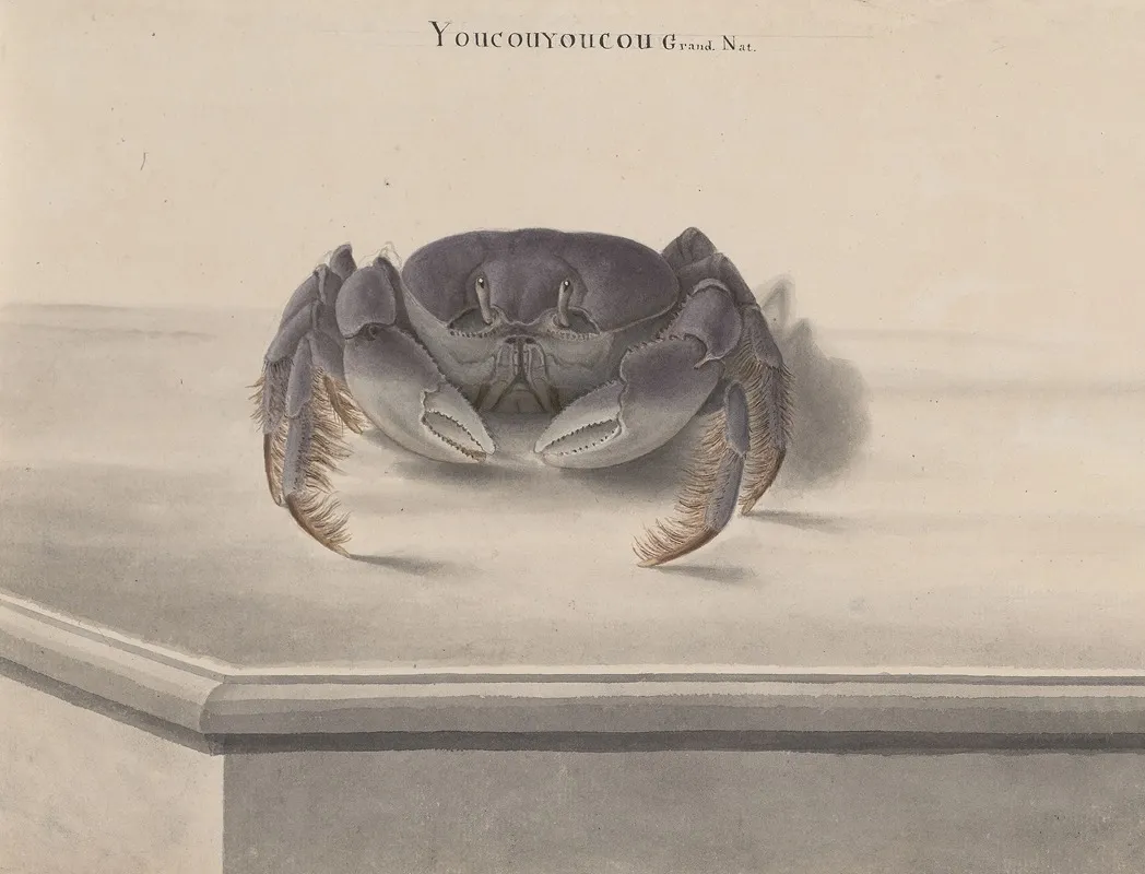Natural History Of Saint Domingue Pl 123 Wall Art by René de Rabié - High-Resolution Digital Print