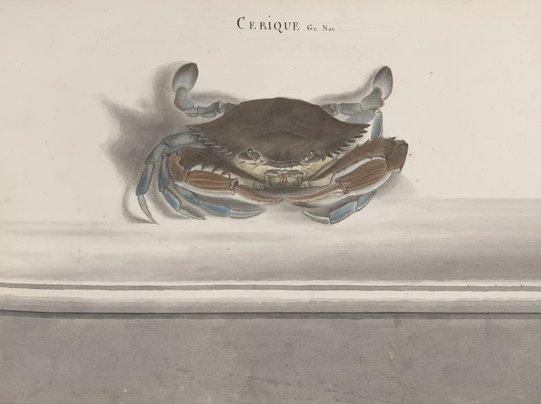 Natural History Of Saint Domingue Pl 126 Wall Art by René de Rabié - High-Resolution Digital Print