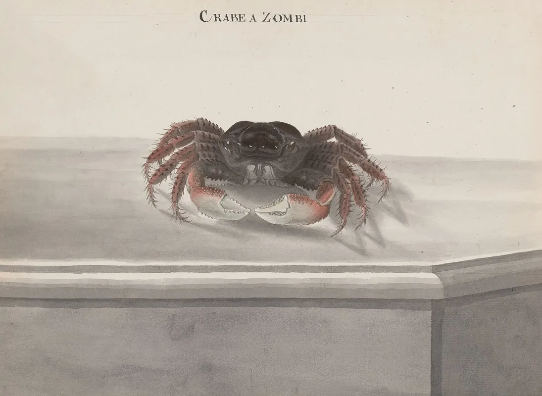 Natural History Of Saint Domingue Pl 130 Wall Art by René de Rabié - High-Resolution Digital Print