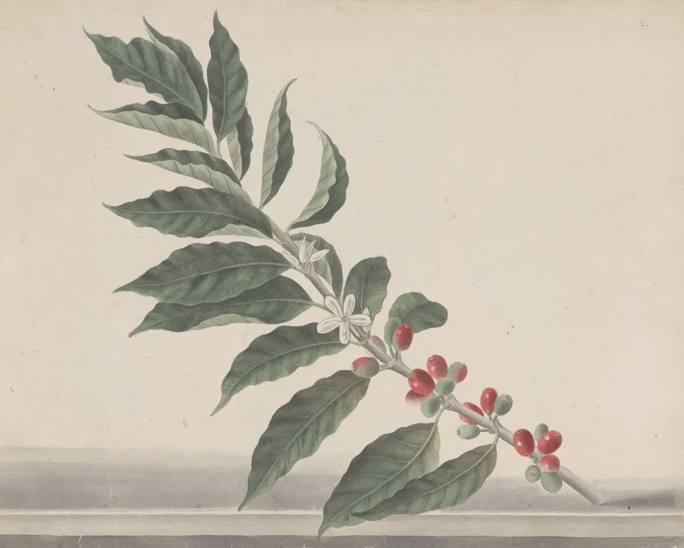 Natural History Of Saint Domingue Pl 134 Wall Art by René de Rabié - High-Resolution Digital Print