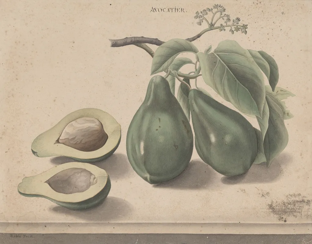 Natural History Of Saint Domingue Pl 139 Wall Art by René de Rabié - High-Resolution Digital Print