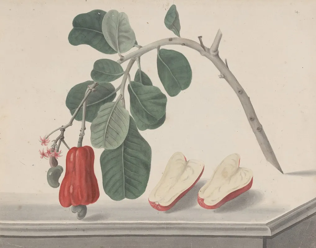 Natural History Of Saint Domingue Pl 145 Wall Art by René de Rabié - High-Resolution Digital Print