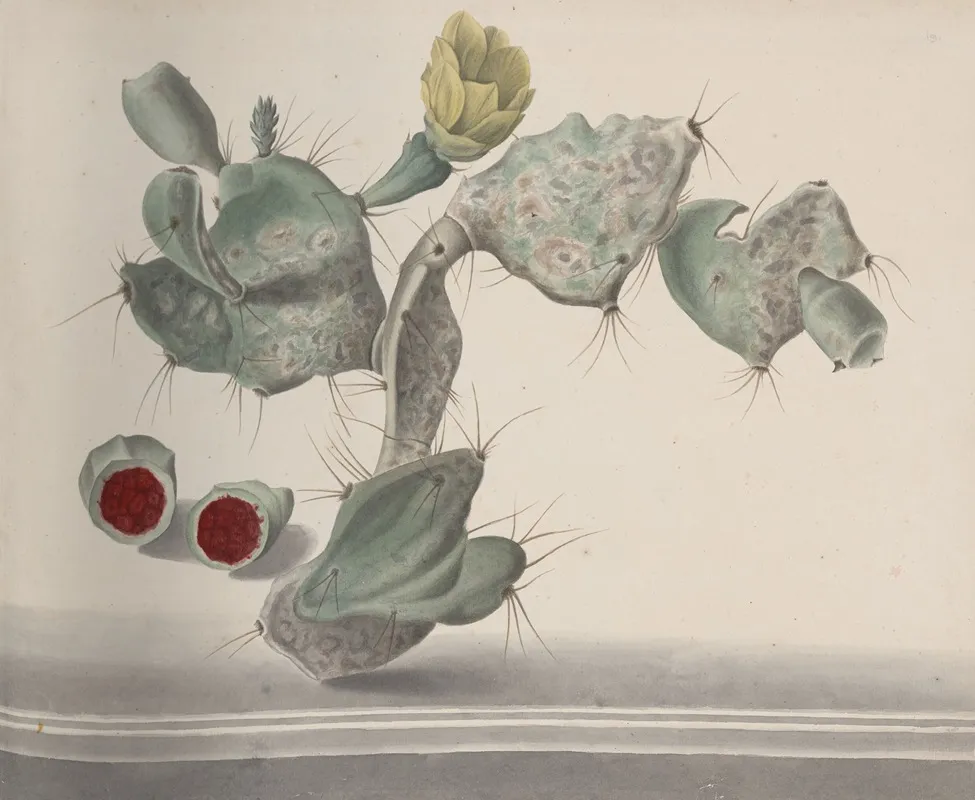 Natural History Of Saint Domingue Pl 150 Wall Art by René de Rabié - High-Resolution Digital Print