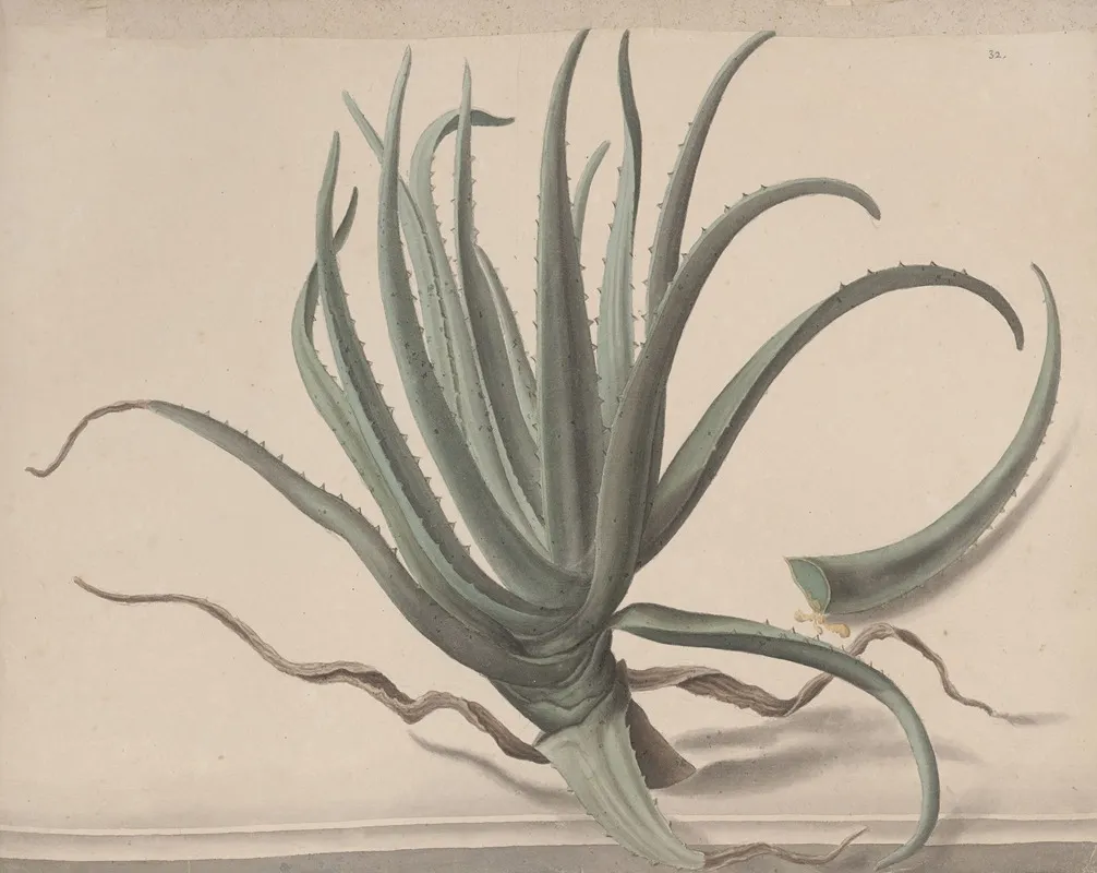Natural History Of Saint Domingue Pl 163 Wall Art by René de Rabié - High-Resolution Digital Print