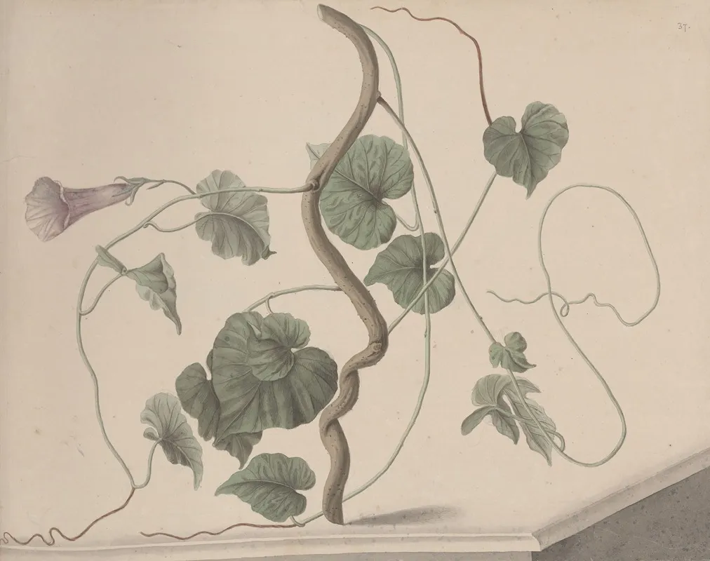 Natural History Of Saint Domingue Pl 168 Wall Art by René de Rabié - High-Resolution Digital Print