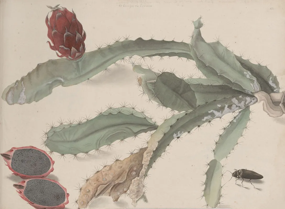 Natural History Of Saint Domingue Pl 174 Wall Art by René de Rabié - High-Resolution Digital Print