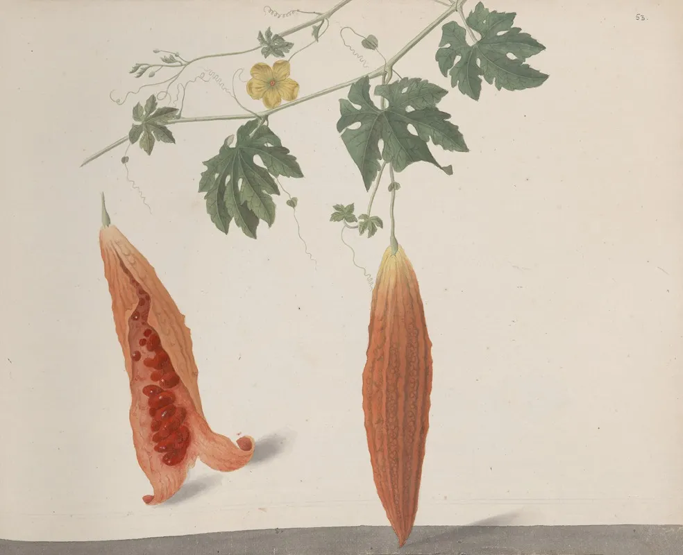 Natural History Of Saint Domingue Pl 185 Wall Art by René de Rabié - High-Resolution Digital Print