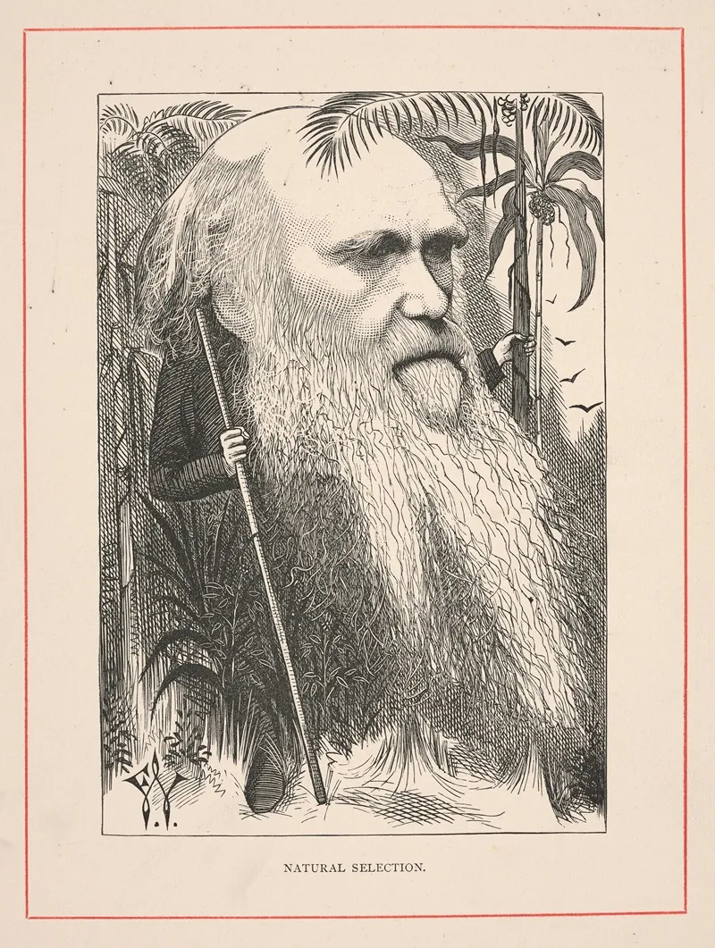 Natural Selection Charles Darwin Wall Art by Frederick Waddy - High-Resolution Digital Print