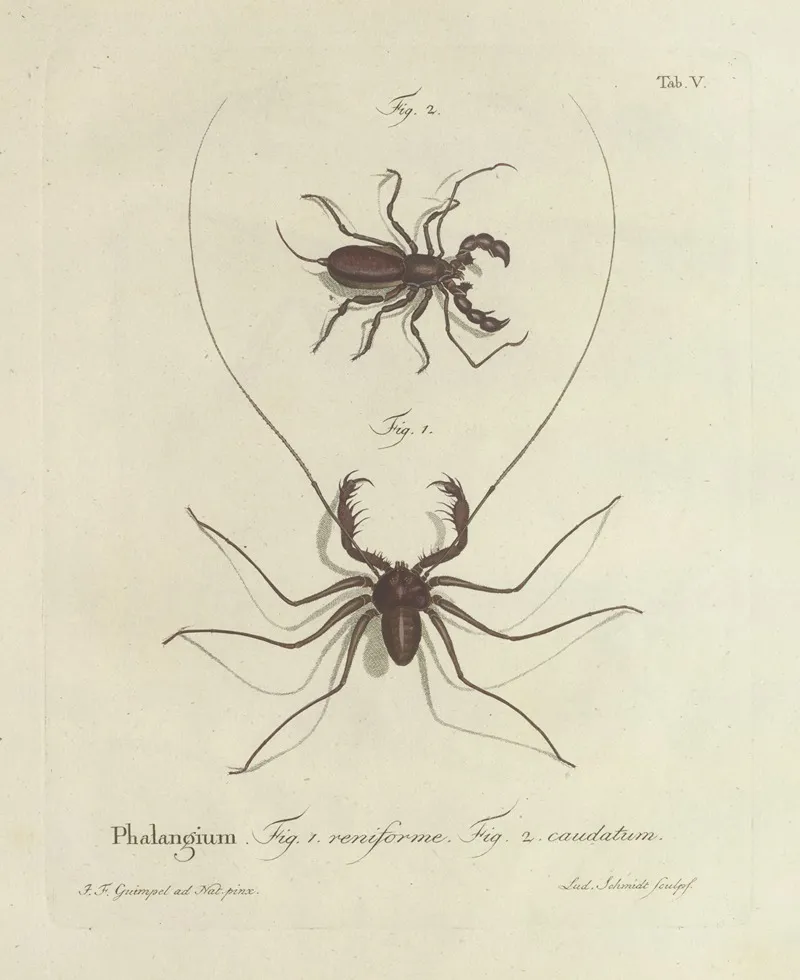 Natursystem Der Ungeflügelten Insekten Pl 05 Wall Art by Johann Friedrich Wilhelm Herbst - High-Resolution Digital Print