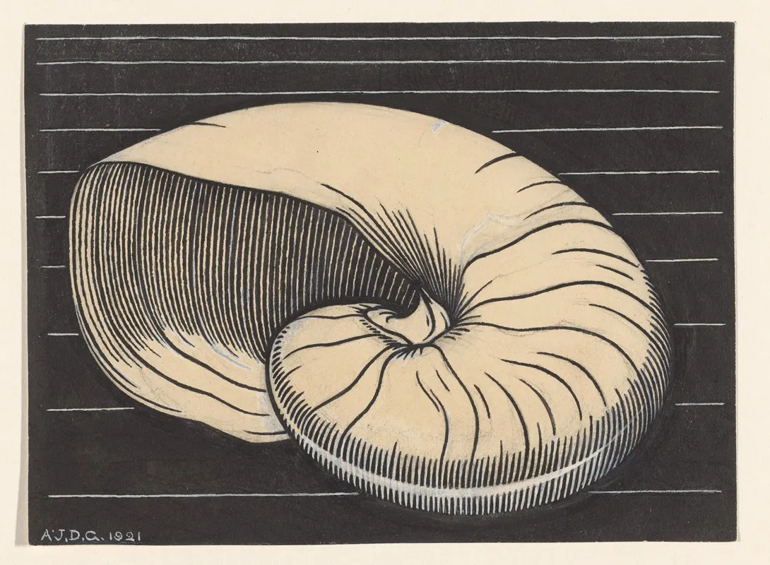 Nautilus Shell Wall Art by Julie de Graag - High-Resolution Digital Print