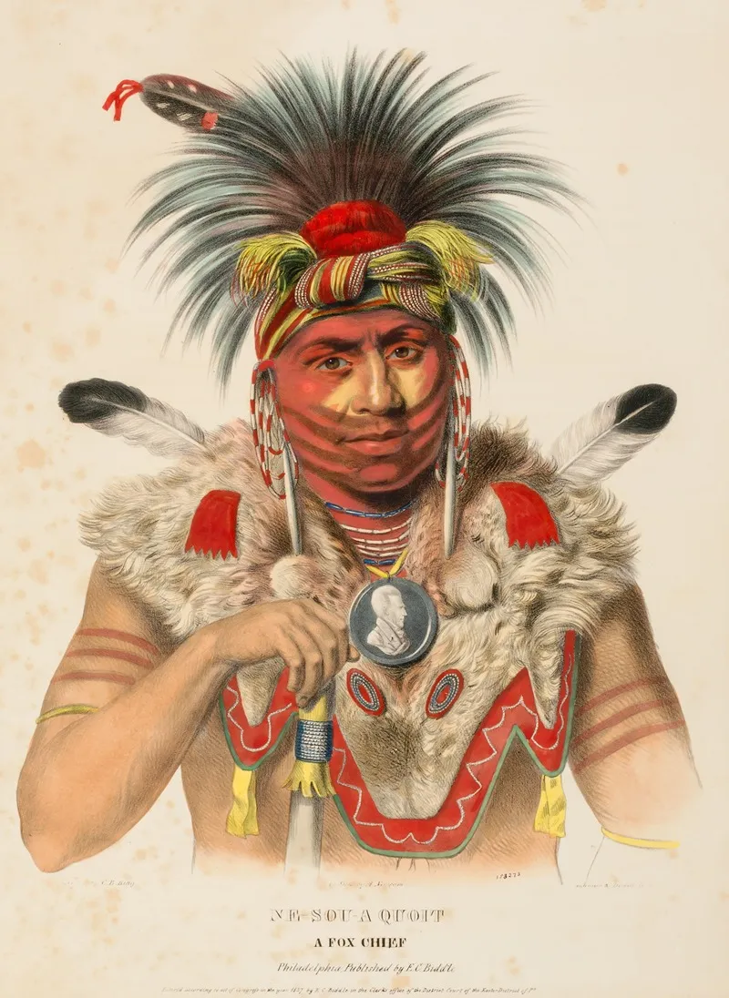 Ne Sou A Quoit A Fox Chief