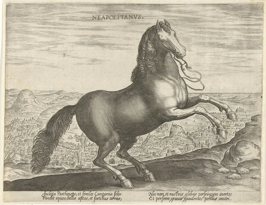 Neapolitanus Wall Art by Jan Collaert the Elder - High-Resolution Digital Print