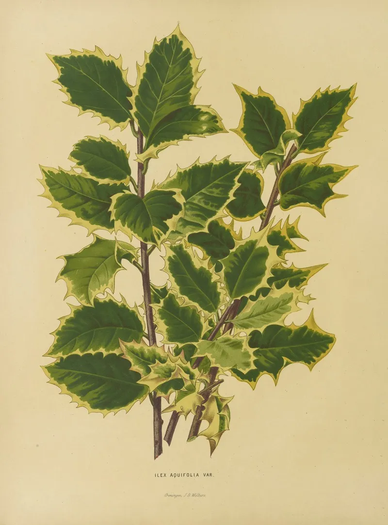Nederlandsche Flora En Pomona Pl 18 Wall Art by Abraham Jacobus Wendel - High-Resolution Digital Print