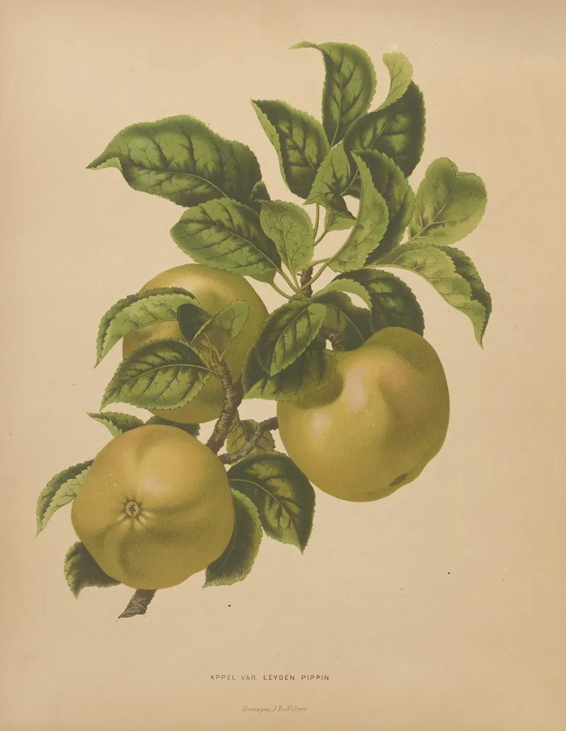 Nederlandsche Flora En Pomona Pl 67 Wall Art by Abraham Jacobus Wendel - High-Resolution Digital Print