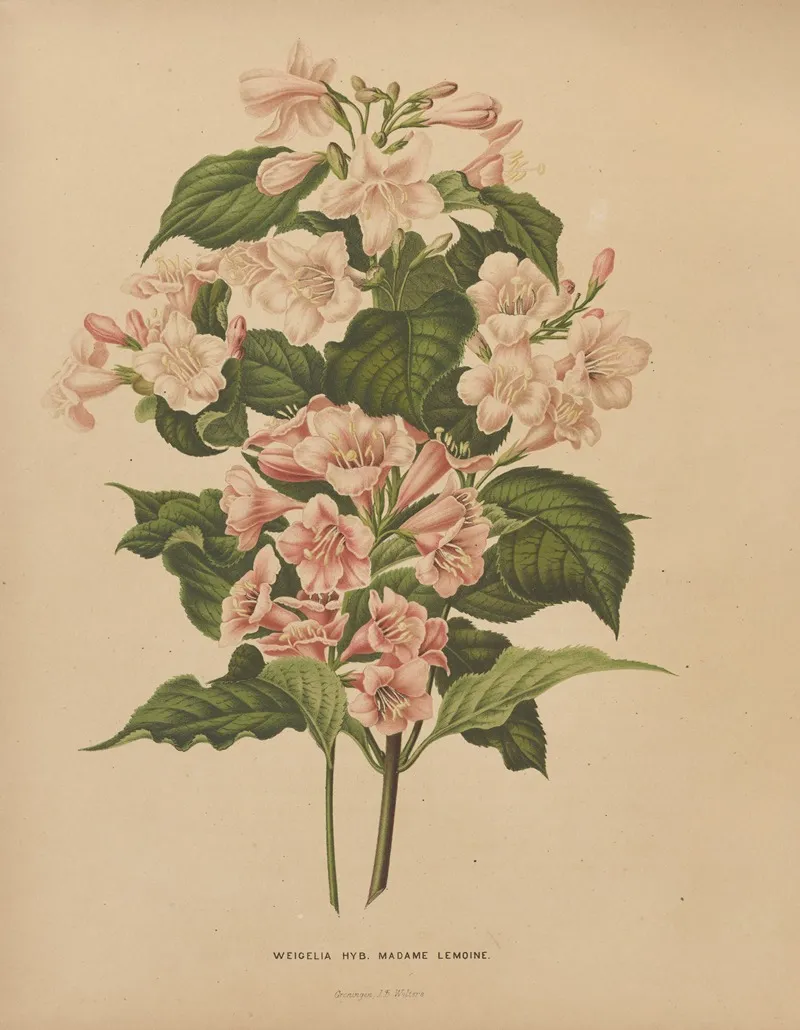 Nederlandsche Flora En Pomona Pl 74 Wall Art by Abraham Jacobus Wendel - High-Resolution Digital Print