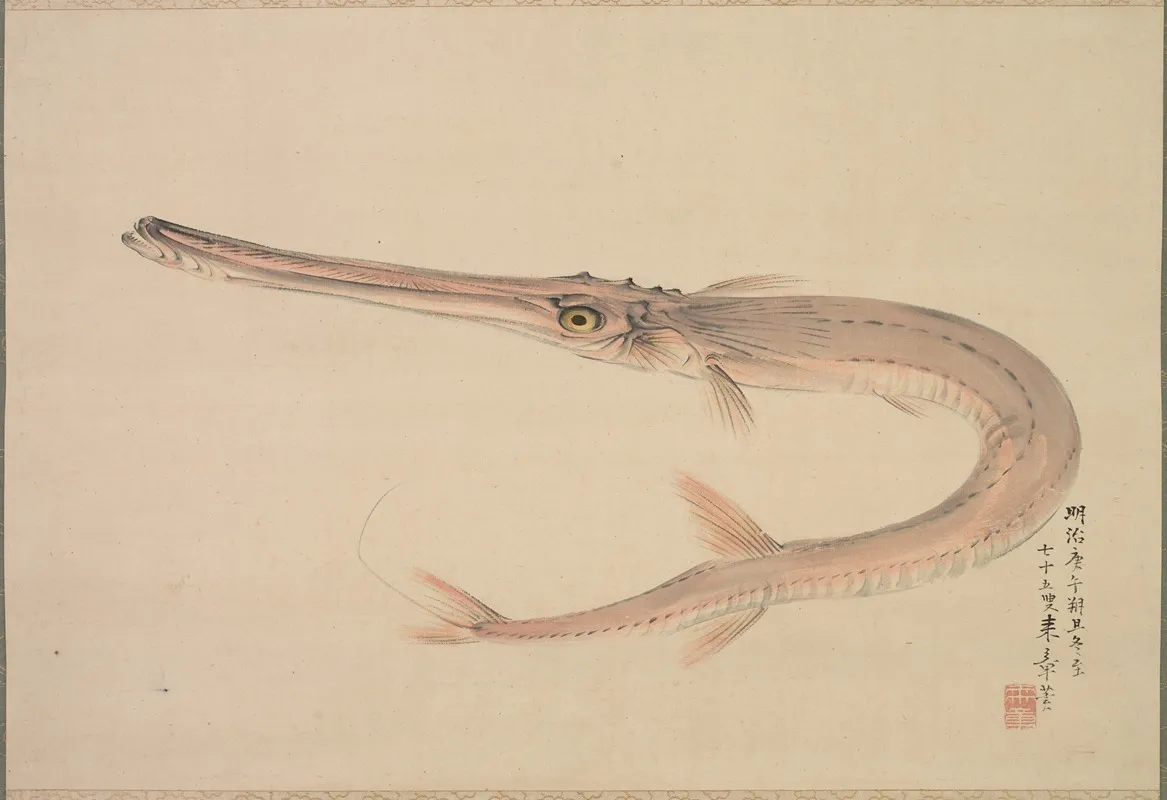 Needlefish Yagara