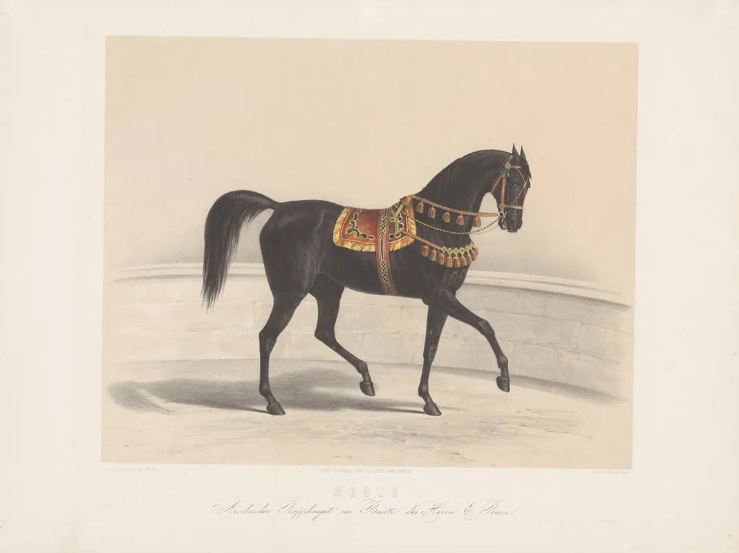 Negus Arabischer Rapphengst Im Besitz Des Herrn E Renz Wall Art by H. Litfas - High-Resolution Digital Print