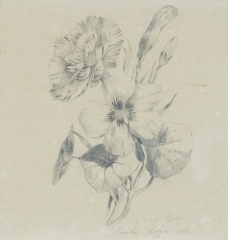 Nelkenbluten Und Knospen Wall Art by Emilie Preyer - High-Resolution Digital Print