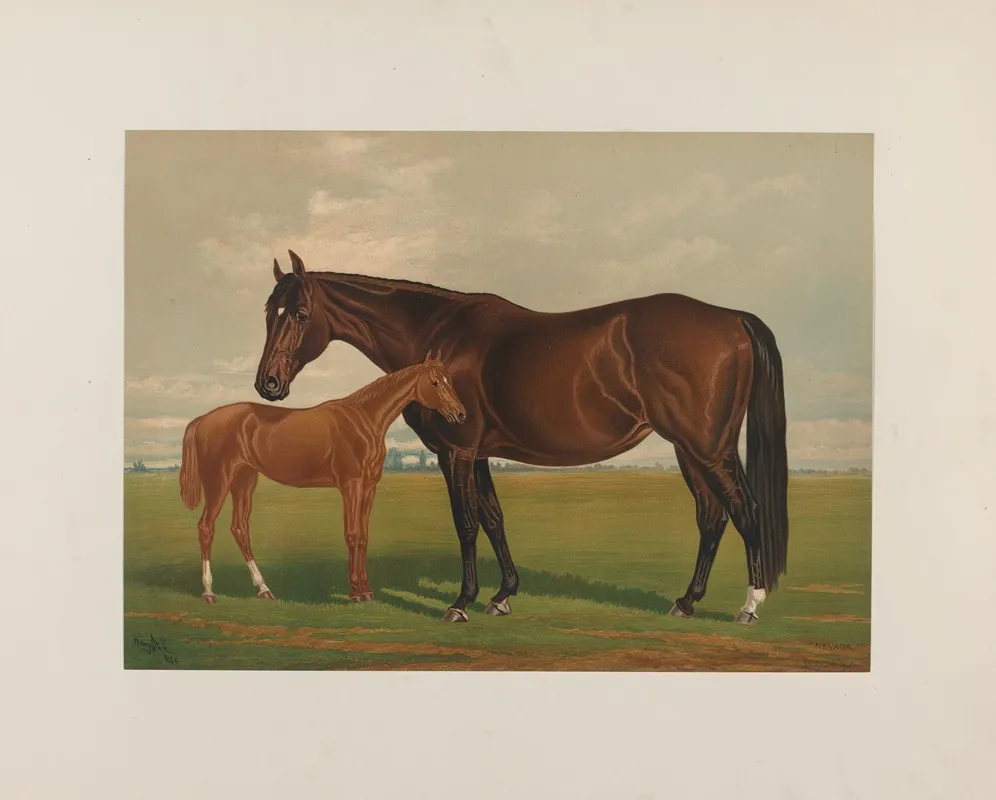 Nevada