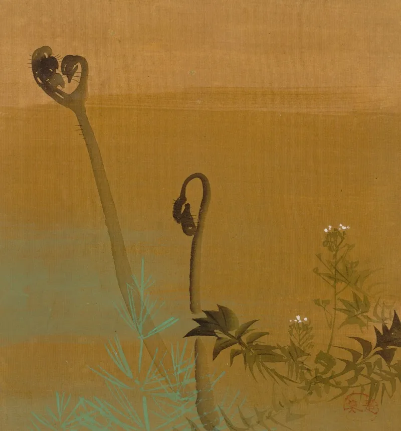 New Ferns