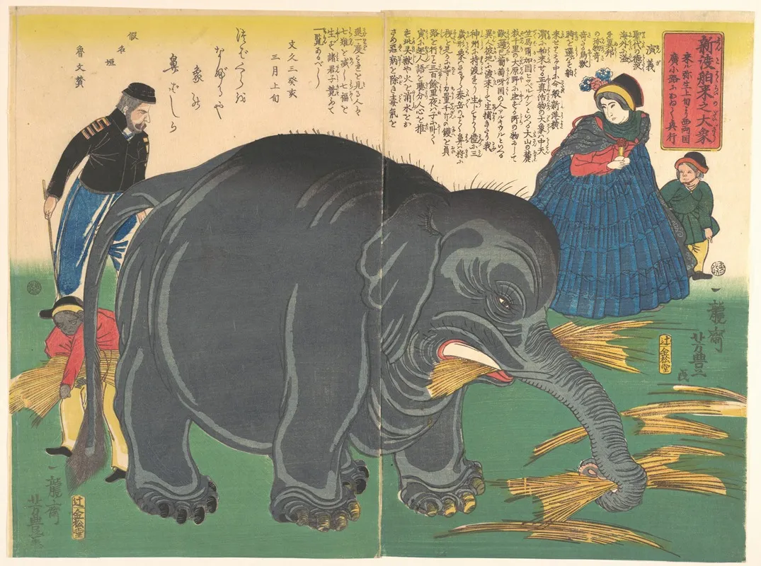Newly Imported Great Elephant Shinto Hakurai No Daizo