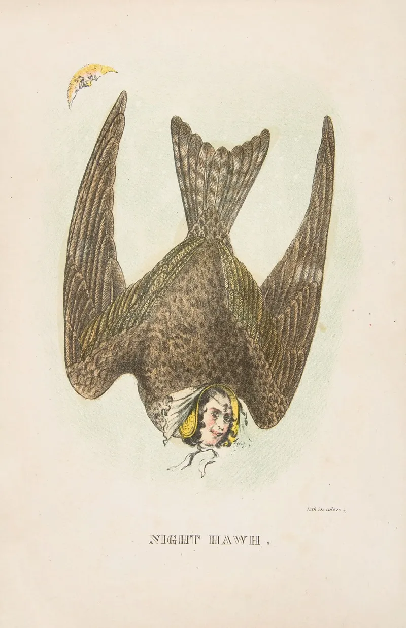 Night Hawk 2