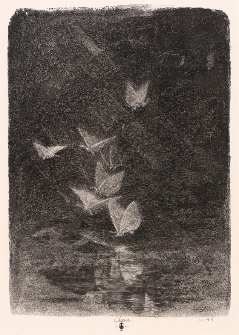 Night Moths