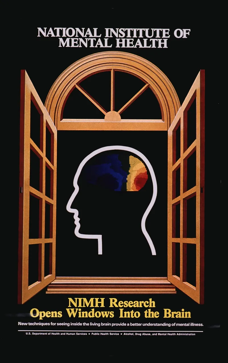 Nimh Research Opens Windows Into The Brain