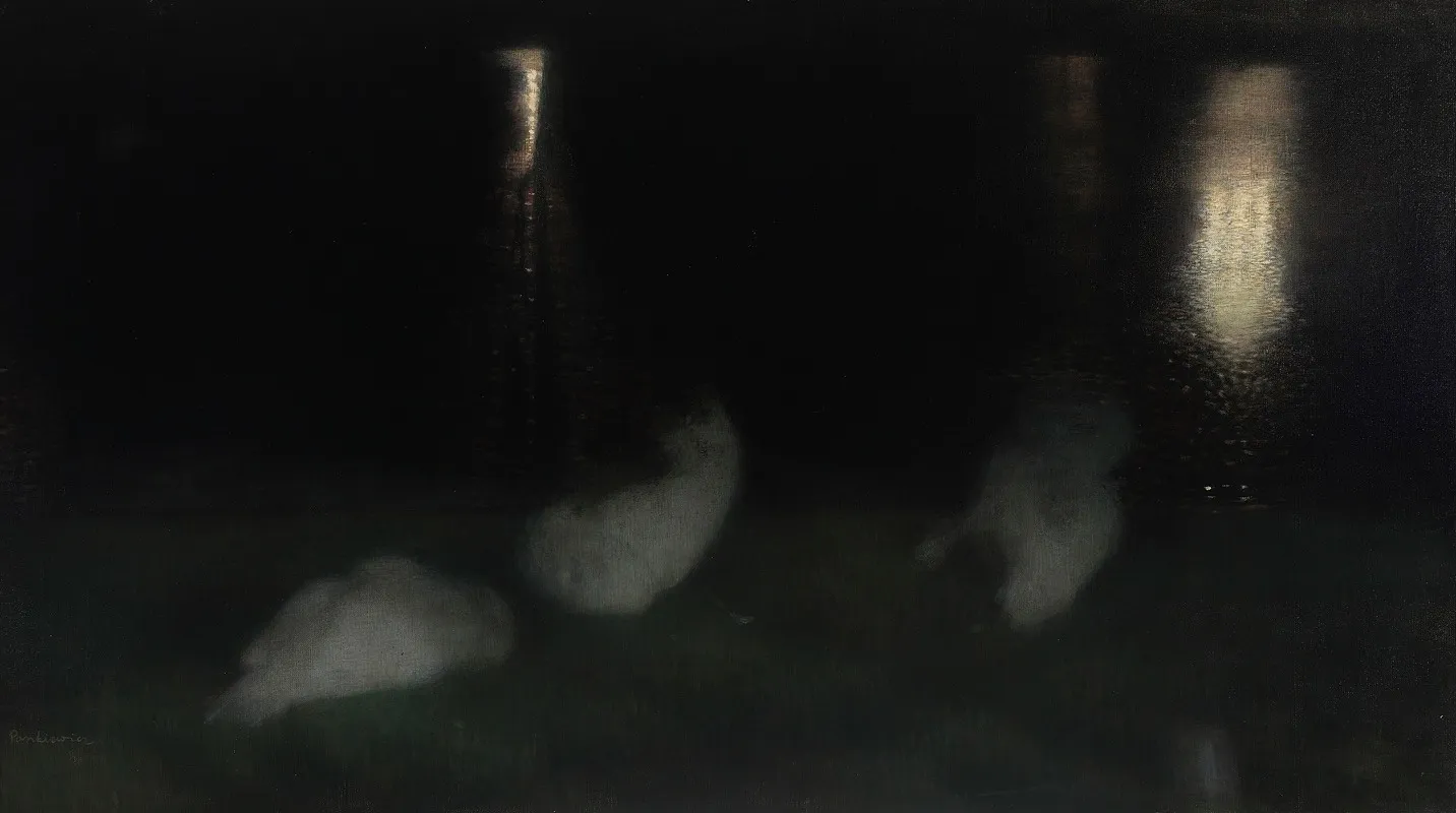 Nocturne Swans In The Saxon Garden In Warsaw At Night Sleeping Swans Swans At Night