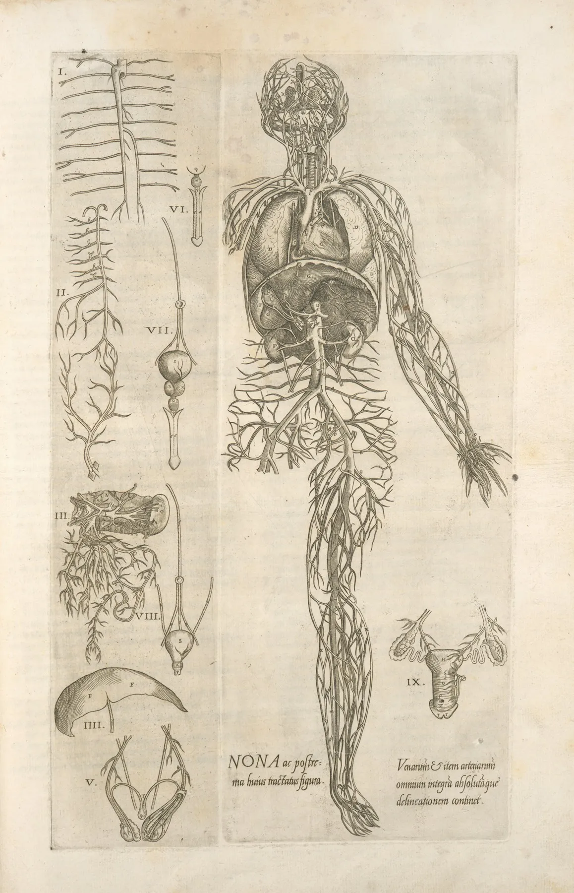Nona Ac Postrema Huius Tractatus Figura