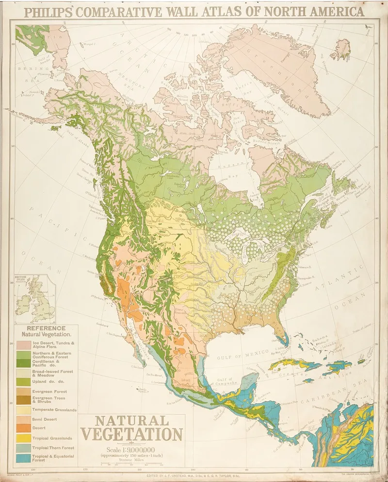 North America Natural Vegetation