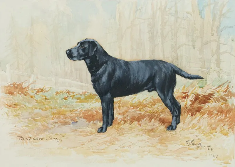 North Cave Jerry Black Labrador Retriever Wall Art by Reuben Ward Binks - High-Resolution Digital Print