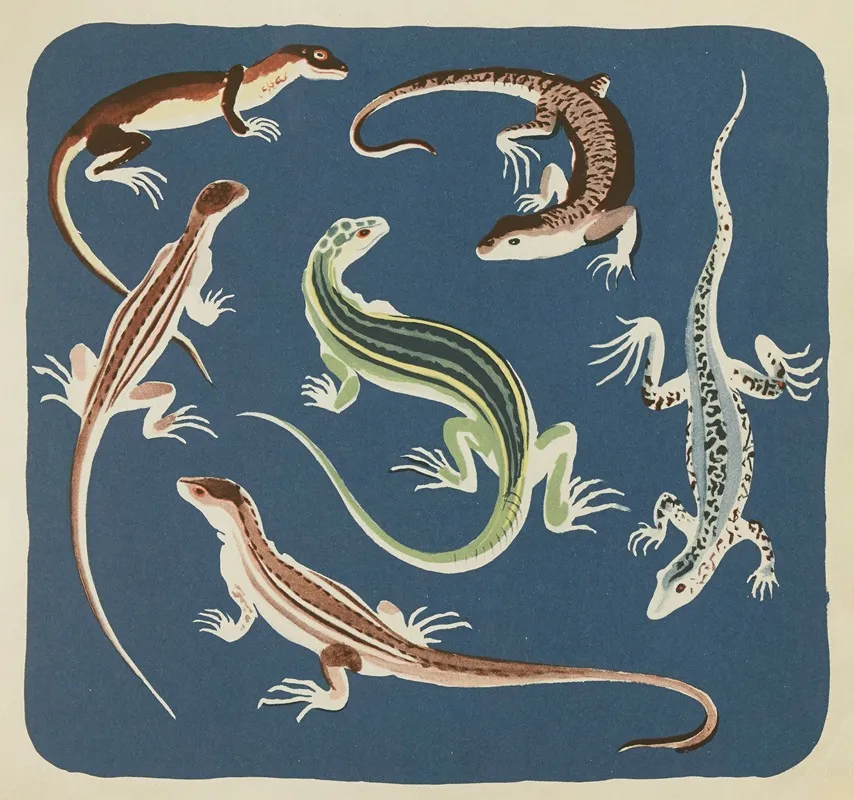Nouvelles Images A Colorier Reptiles Pl 10 Wall Art by Elena Pavlovna Gertik - High-Resolution Digital Print