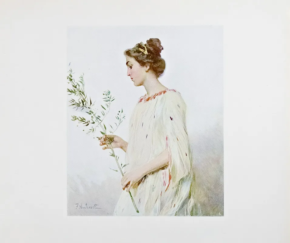 Novissima Pl 13 Wall Art by Edoardo de Fonseca (Editor) - High-Resolution Digital Print