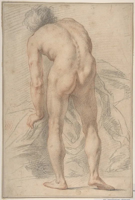 Nude Male Figure Rear View Wall Art by Giovanni da San Giovanni - High-Resolution Digital Print