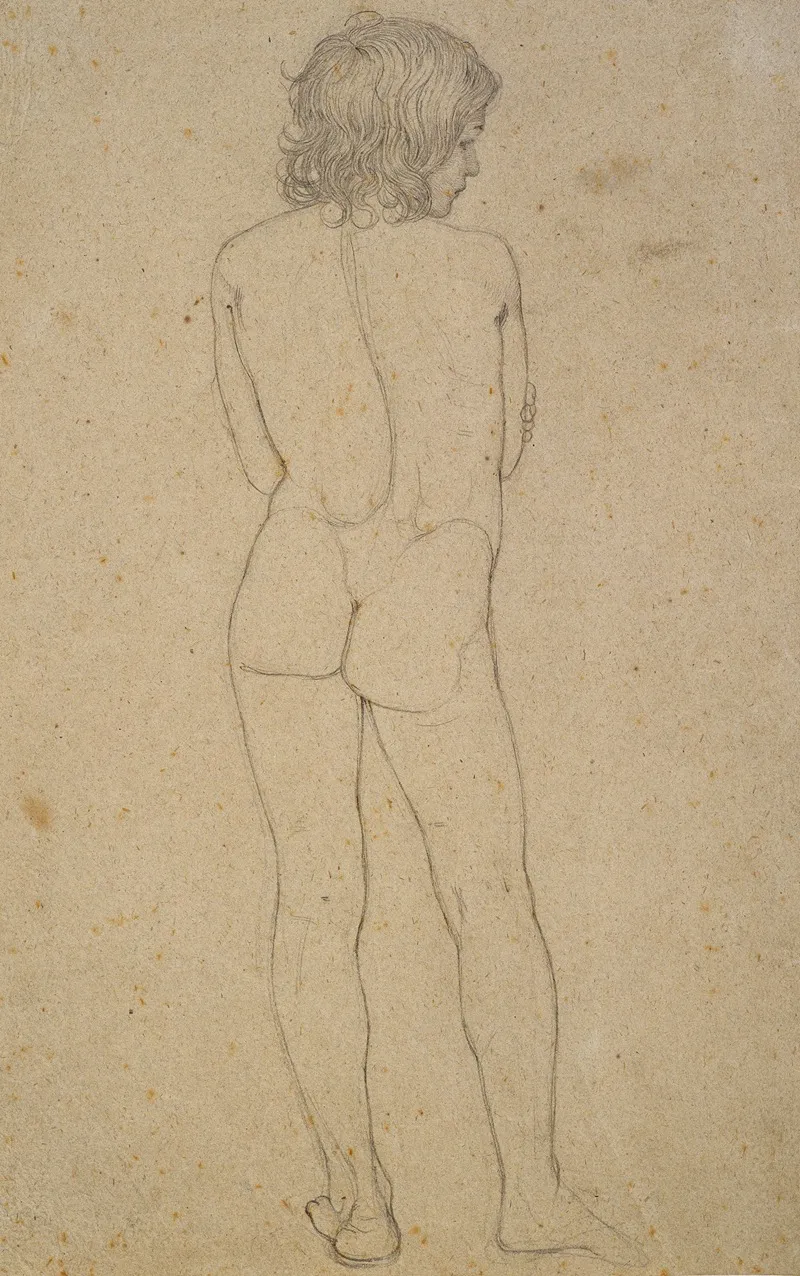 Nude Of A Boys Back