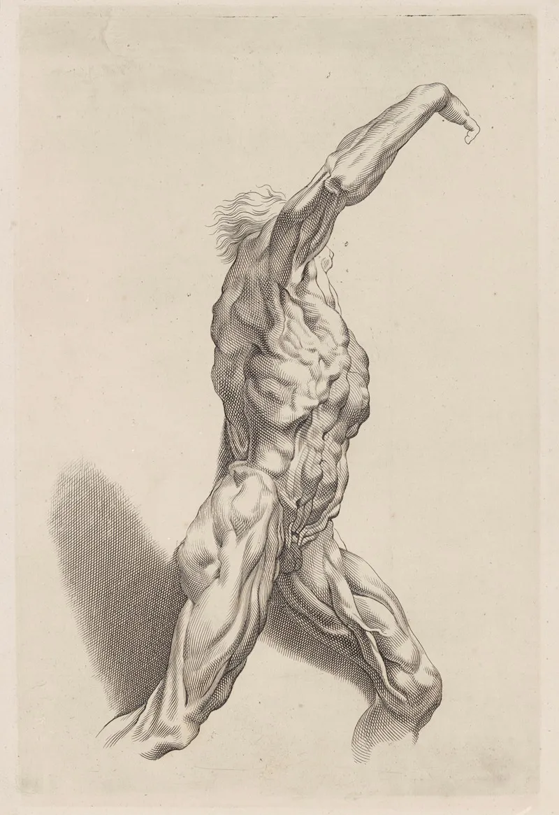 Nude Study 4 Wall Art by Peter Paul Rubens - High-Resolution Digital Print